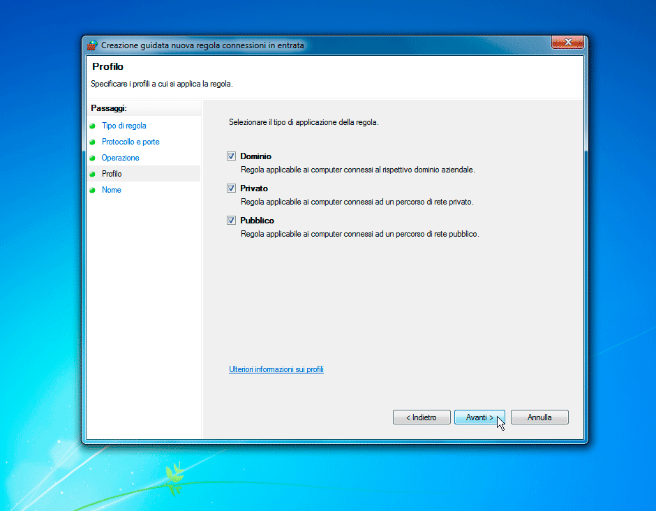 Windows Firewall Profilo
