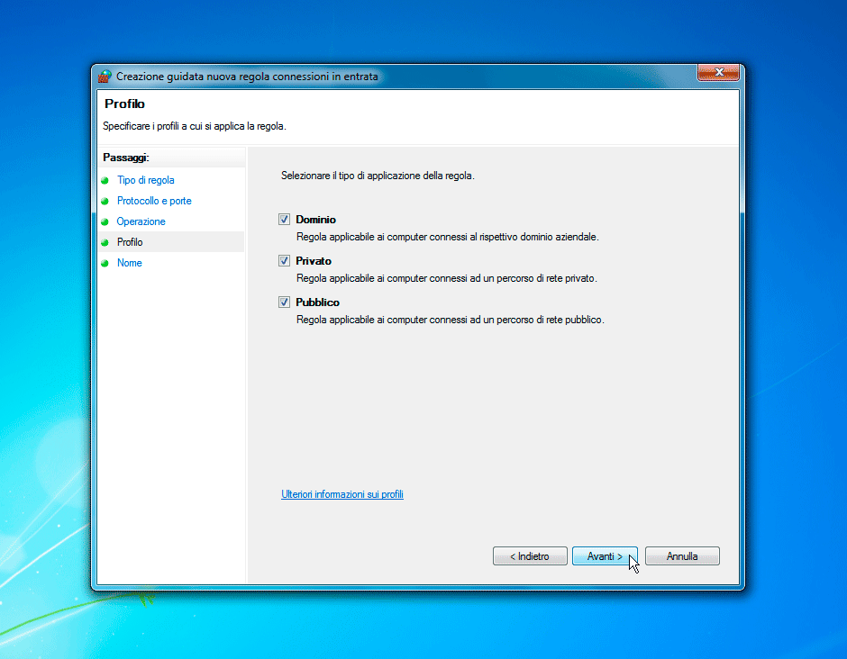 Windows Firewall Profilo