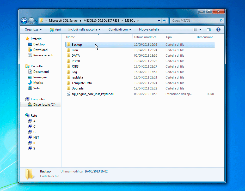 Cartella Backup
